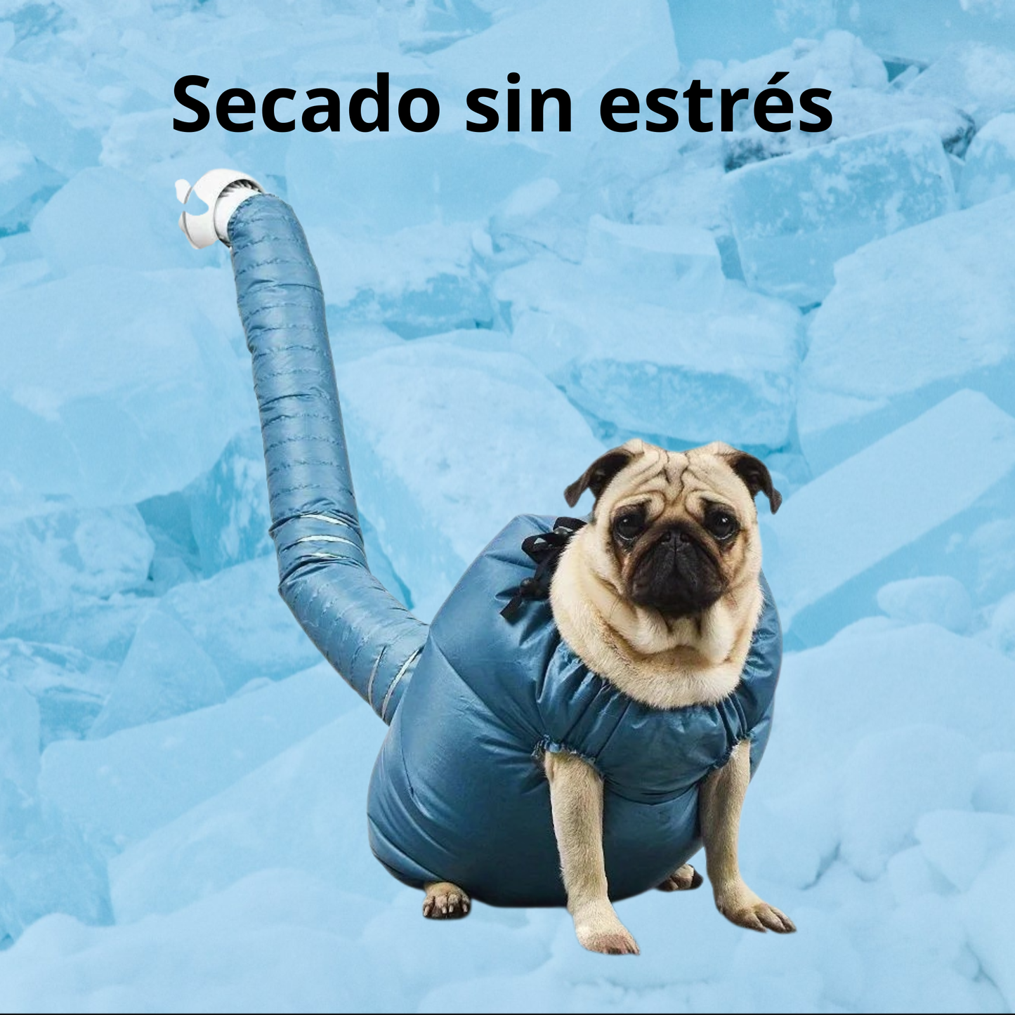 Bolsa de secado para mascotas